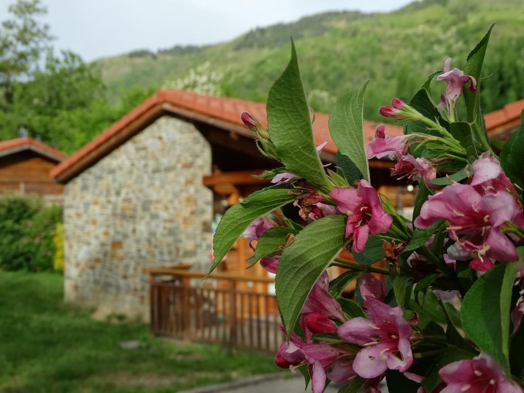 Ariege Azimuth Apart otel Mercus-Garrabet Dış mekan fotoğraf